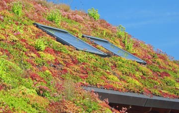 Cobridge living roof systems