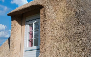 Cobridge thatch roof disadvantages