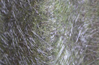 Cobridge fibreglass roof work